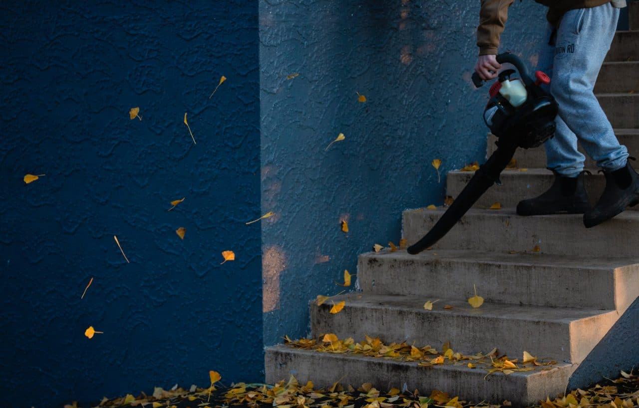 Person using a leaf blower to blow some leaves down some stairs